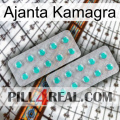 Ajanta Kamagra 29